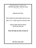 Phát triển doanh nghiệp thương mại nhỏ và vừa trên địa bàn tỉnh Hà Tĩnh (tt)