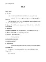 Giáo án Hóa học 10 bài 22: Clo