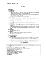 Giáo án Hóa học 10 bài 22: Clo