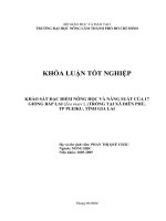KHẢO SÁT ĐẶC ĐIỂM NÔNG HỌC VÀ NĂNG SUẤT CỦA 17 GIỐNG BẮP LAI (Zea mays L.)TRỒNG TẠI XÃ DIÊN PHÚ, TP PLEIKU, TỈNH GIA LAI