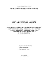 ĐIỀU TRA TÌNH HÌNH GÂY HẠI VÀ KHẢO SÁT HIỆU LỰC PHÒNG TRỪ CỦA 4 LOẠI THUỐC HÓA HỌC ĐỐI VỚI RUỒI ĐỤC LÁ Liriomyza huidobrensis B. (DIPTERA: AGROMYDAE) TRÊN CÂY KHOAI TÂY Ở TỈNH LÂM ĐỒNG