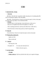 Giáo án Hóa học 10 bài 22: Clo