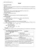 Giáo án Hóa học 10 bài 22: Clo