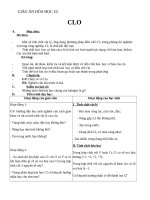 Giáo án Hóa học 10 bài 22: Clo