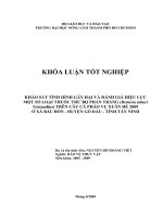 KHẢO SÁT TÌNH HÌNH GÂY HẠI VÀ ĐÁNH GIÁ HIỆU LỰC MỘT SỐ LOẠI THUỐC TRỪ BỌ PHẤN TRẮNG (Bemisia tabaci Gennadius) TRÊN CÂY CÀ PHÁO VỤ XUÂN HÈ 2009 Ở XÃ BÀU ĐỒN  HUYỆN GÒ DẦU  TỈNH TÂY NINH