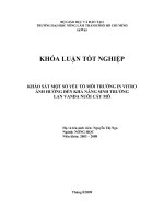 KHẢO SÁT MỘT SỐ YẾU TỐ MÔI TRƯỜNG IN VITRO ẢNH HƯỞNG ĐẾN KHẢ NĂNG SINH TRƯỞNG LAN VANDA NUÔI CẤY MÔ