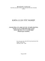 ẢNH HƯỞNG CỦA MỘT SỐ YẾU TỐ MÔI TRƯỜNG NUÔI CẤY IN VITRO ĐẾN KHẢ NĂNG SINH TRƯỞNG CỦA LAN HỒ ĐIỆP (Phalaenopsis amabilis)