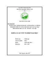 Áp dụng quy trình chăm sóc, nuôi dưỡng và phòng trị bệnh viêm tử cung tại trại lợn Bình Minh, Phù Lưu Tế  Mỹ Đức  Hà Nội (Khóa luận tốt nghiệp)