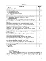 skkn ứng dụng của hệ thức vi  ét trong việc giải một số dạng toán THCS 