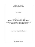 Nghiên cứu điều chế sét hữu cơ từ bentonit Bình Thuận với propyltriphenylphotphoni bromua và bước đầu thăm dò ứng dụng (LV thạc sĩ)