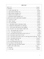 skkn một số kinh nghiệm trong công tác chủ nhiệm lớp 