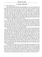 Chyên đề: Vận dụng một số phương pháp giải bài tập kim loại phản ứng với dung dịch muối