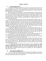 Kinh nghiệm ôn luyện học sinh giỏi lớp 9 phần tính công của lực dùng để nhấm chìm hoặc kéo vật ra khỏi chất lỏng 