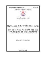Luận án nghiên cứu đặc điểm lâm sàng, cắt lớp vi tính, mô bệnh học của viêm tai giữa có cholesteatoma 
