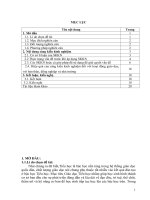 skkn vận dụng sơ đồ tư duy trong dạy tập làm văn lớp 5 môn tiếng việt 