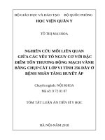 Nghiên cứu mối liên quan giữa các yếu tố nguy cơ với đặc điểm tổn thương động mạch vành bằng chụp cắt lớp vi tính 256 dãy ở bệnh nhân tăng huyết áp (TT)
