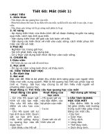 Giáo án bài mắt (tiết 1) vật lí 11