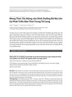 Tác động của dinh dưỡng bà mẹ đến sự phát triển của bào thai