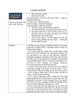 Công ty Lazada Việt nam