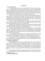 skkn một số kinh nghiệm vận dụng đường thẳng simson và đường thẳng steiner trong việc bồi dưỡng học sinh giỏi hình học lớp 9 