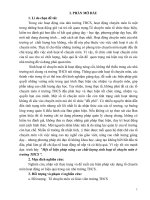 Một số biện pháp nâng cao chất lượng sinh hoạt tổ chuyên môn ở trường THCS 