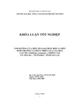 ẢNH HƯỞNG CỦA MỘT SỐ LOẠI PHÂN BÓN LÁ ĐẾN SINH TRƯỞNG VÀ PHÁT TRIỂN CỦA CÂY HOA LAY ƠN ( Gladiolus communis ) TRỒNG TẠI XÃ TRÀ ĐA – TP.PLEIKU TỈNH GIA LAI
