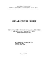 MỘT SỐ ĐẶC ĐIỂM CỦA NẤM Ceratocystis sp. TÁC NHÂN GÂY BỆNH CHẾT NHÁNH CÂY NHÃN (Dimocarpus longan Lour)