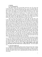 skkn biện pháp chỉ đạo nâng cao chất lượng sinh hoạt chuyên môn ở trường tiểu học 