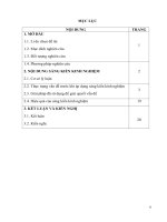 Kinh nghiệm dạy học tích hợp trong bài đấu tranh cho một thế giới hòa bình  (ngữ văn 9, tập 1) đật hiệu quả 