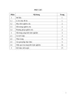 skkn giờ học mở” trong dạy và học bài thuyết minh về danh lam thắng cảnh trong chương trình ngữ văn 8 cho học sinh trường THCS nga ph 