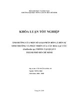 ẢNH HƯỞNG CỦA MỘT SỐ LOẠI PHÂN BÓN LÁ ĐẾN SỰ SINH TRƯỞNG VÀ PHÁT TRIỂN CỦA CÂY HOA LẠC CÚC (Gaillardia sp.) TRỒNG TẠI QUẬN 9 THÀNH PHỐ HỒ CHÍ MINH