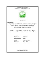 Thực hiện quy trình chăm sóc và phòng, trị bệnh cho lợn nái, lợn con tại trại chăn nuôi bùi huy hạnh , xã tái sơn   huyện tứ kỳ   tỉnh hải dương 