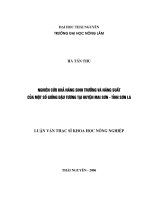 Quy trình chăm sóc, nuôi dưỡng lợn nái và lợn con tại trại chăn nuôi Phát Đạt  Vĩnh Phúc (Luận văn thạc sĩ)