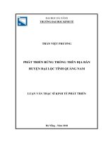 Phát triển rừng trồng trên địa bàn huyện đại lộc tỉnh quảng nam