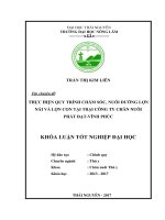 Quy trình chăm sóc, nuôi dưỡng lợn nái và lợn con tại trại chăn nuôi Phát Đạt  Vĩnh Phúc