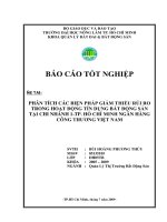 PHÂN TÍCH CÁC BIỆN PHÁP GIẢM THIỂU RỦI RO TRONG HOẠT ĐỘNG TÍN DỤNG BẤT ĐỘNG SẢN TẠI CHI NHÁNH 1TP. HỒ CHÍ MINH NGÂN HÀNG CÔNG THƯƠNG VIỆT NAM