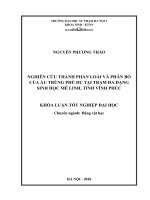 Nghiên cứu thành phần loài và phân bố của ấu trùng Phù du tại trạm đa dạng sinh học Mê Linh, tỉnh Vĩnh Phúc