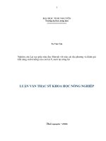 Nghiên cứu lai tạo giữa trâu đực Murrah với trâu cái địa phương và đánh giá khả năng sinh trưởng của con lai F1 nuôi tại nông hộ (Luận văn thạc sĩ)