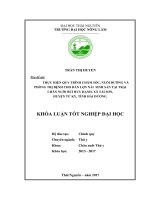 Thực hiện quy trình chăm sóc, nuôi dƣỡng và phòng trị bệnh cho đàn lợn nái sinh sản tại trại chăn nuôi Bùi Huy Hạnh, xã Tái Sơn  huyện Tứ kỳ  tỉnh Hải Dương (Khóa luận tốt nghiệp)