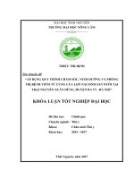 Áp dụng quy trình chăm sóc, nuôi dưỡng và phòng trị bệnh viêm tử cung của lợn nái sinh sản nuôi tại trại Nguyễn Xuân Dũng, huyện Ba Vì  Hà Nội (Khóa luận tốt nghiệp)