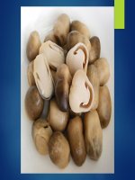 NẤM ĐẠI CƯƠNG  PHÂN LOẠI NẤM