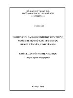 Nghiên cứu đa dạng sinh học côn trùng nước tại một số khu vực thuộc huyện Văn Yên, tỉnh Yên Bái