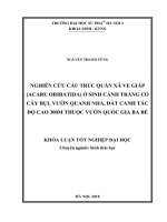 Nghiên cứu cấu trúc quần xã ve giáp (Acari oribatida) ở sinh cảnh trảng cỏ cây bụi, vườn quanh nhà, đất canh tác độ cao 300m thuộc Vườn Quốc gia Ba Bể