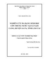 Nghiên cứu đa dạng sinh học côn trùng nước tại xã Nậm Cang, huyện Sa pa, tỉnh Lào Cai