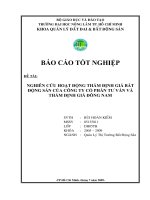 NGHIÊN CỨU HOẠT ĐỘNG THẨM ĐỊNH GIÁ BẤT ĐỘNG SẢN CỦA CÔNG TY CỔ PHẦN TƯ VẤN VÀ THẨM ĐỊNH GIÁ ĐÔNG NAM