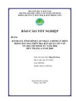 ĐÁNH GIÁ TÌNH HÌNH CẬP NHẬT, CHỈNH LÝ BIẾN ĐỘNG ĐẤT ĐAI TRÊN ĐỊA BÀN QUẬN GÒ VẤP TP. HỒ CHÍ MINH TỪ NĂM 2006 ĐẾN THÁNG 6 NĂM 2009