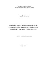 Nghiên cứu thành phần loài côn trùng bộ cánh cứng ở nước (insecta coleoptera) tại một số thủy vực thuộc tỉnh quảng nam 