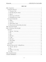 MUT JAM NHO   nhom 11 