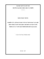 Nghiên cứu, đánh giá khả năng sử dụng hạt vật liệu biến tính từ bùn thải khu chế biến sắt bản cuôn trong xử lý nước bị ô nhiễm bởi kim loại nặng 