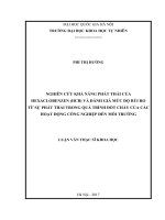 Nghiên cứu khả năng phát thải của hexaclobenzen (HCB) và đánh giá mức độ rủi ro từ sự phát thải trong quá trình đốt cháy của các hoạt động công nghiệp đến môi trường 